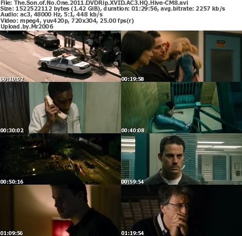 The Son Of No One (2011) DVDRip XVID AC3 HQ Hive-CM8