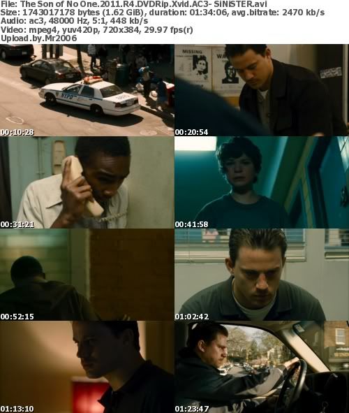 The Son Of No One (2011) R4 DVDRip Xvid AC3 - SiNiSTER