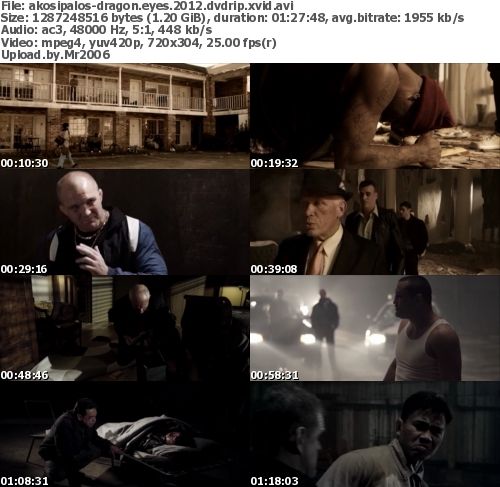 Dragon Eyes (2012) DVDRip XviD AC3-PRESTiGE