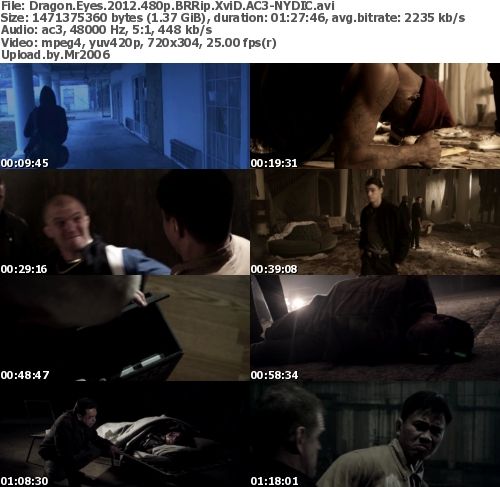 Dragon Eyes (2012) 480p BRRip XviD AC3-NYDIC Dragon Eyes (2012) 480p BRRip XviD AC3-NYDIC