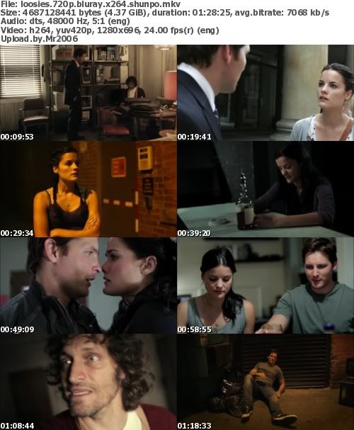 Loosies (2012) 720p BluRay x264-SHUNPO