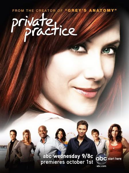 Private Practice S05E18 HDTV XviD-2HD Private Practice S05E18 HDTV XviD-2HD
