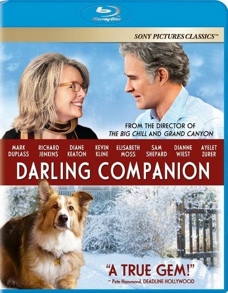 Darling Companion (2012) 720p BRRip x264 AC3 - PTpOWeR
