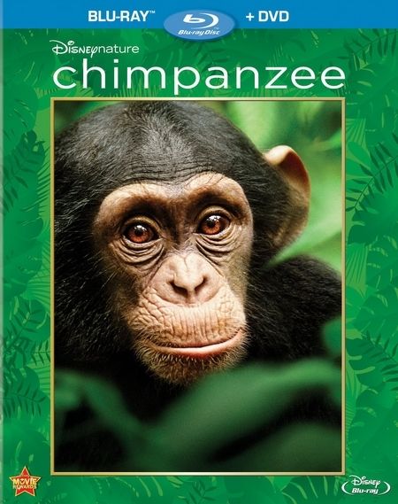 Chimpanzee (2012) DVDRip XviD AC3 - Voltage