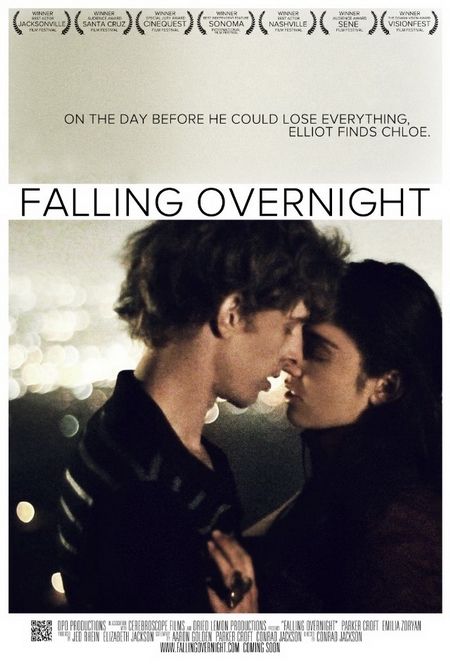 Falling Overnight (2011) LiMiTED DVDRip XviD-AN0NYM0US