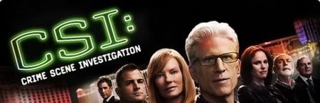 CSI S13E01 HDTV x264-LOL CSI S13E01 HDTV x264-LOL