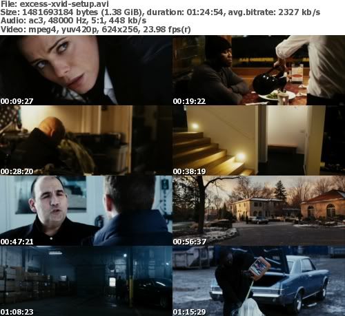 Set Up (2011) DVDRip XviD AC3-eXceSs