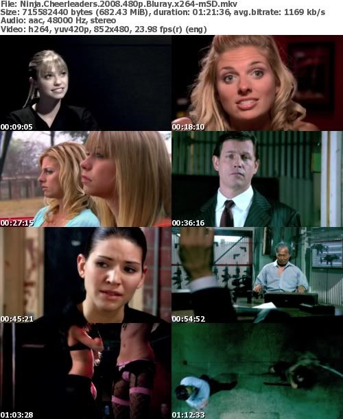 Ninja Cheerleaders (2008) 480p Bluray x264-mSD