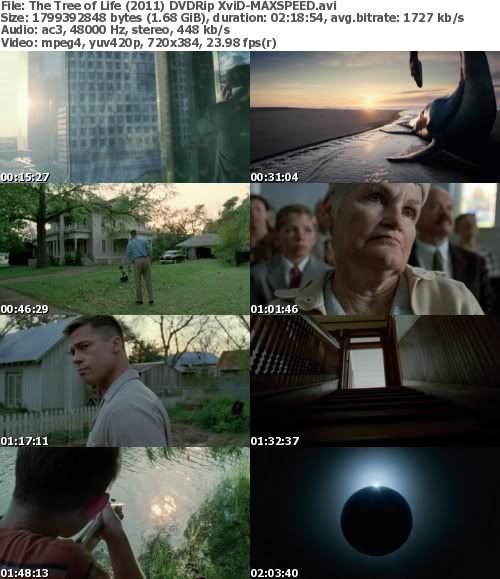 The Tree Of Life (2011) DVDRip XviD-MAXSPEED