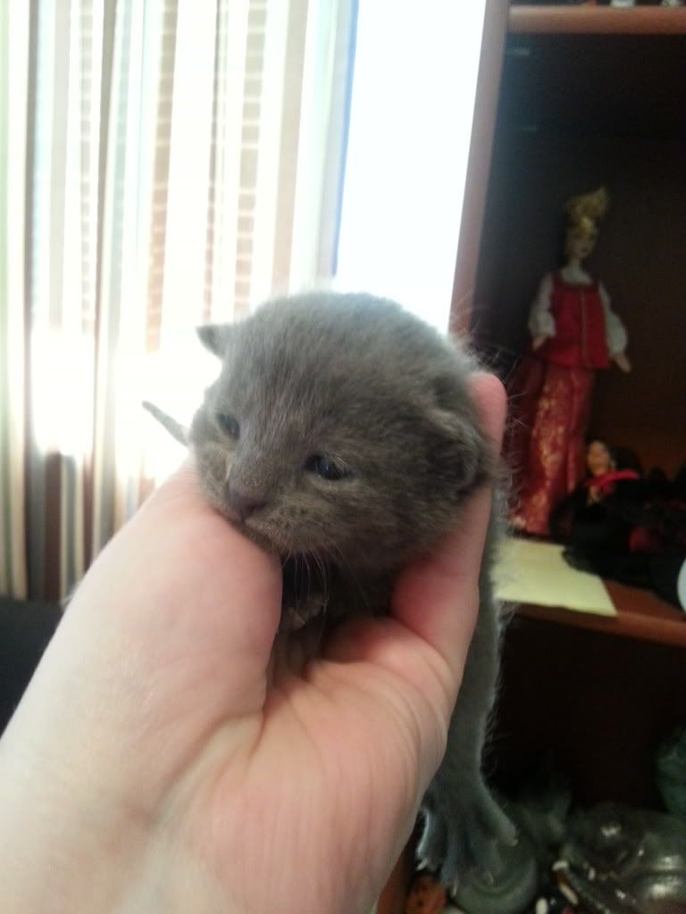 i1210.photobucket.com