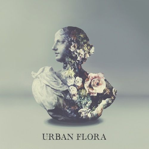 Alina Baraz & Galimatias – Fantasy