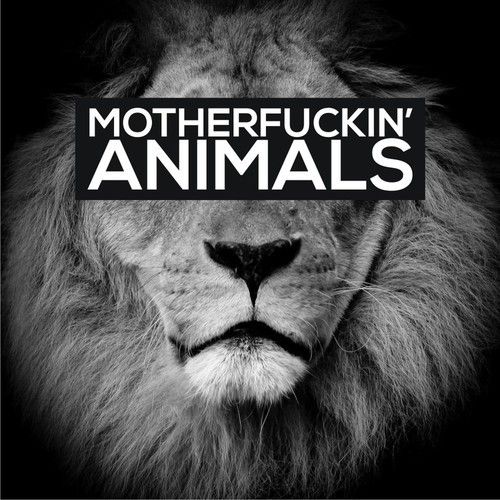 martin garrix animals скачать музыку