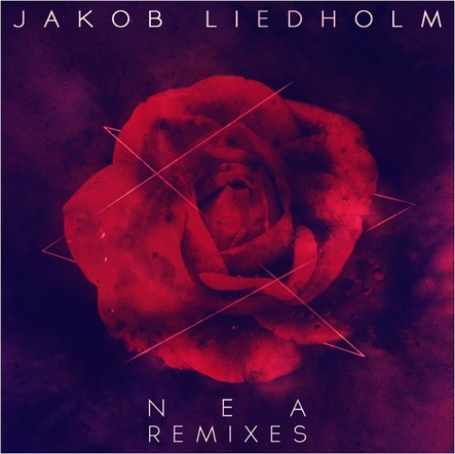 Jakob Liedholm - Nea (Steerner Remix)