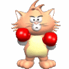 kitty_boxing.gif