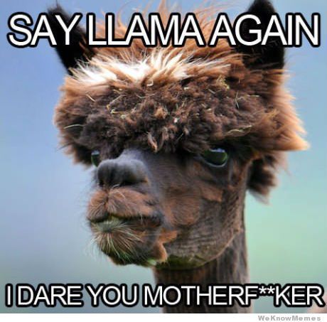 say-llama-again-i-dare-you.jpg