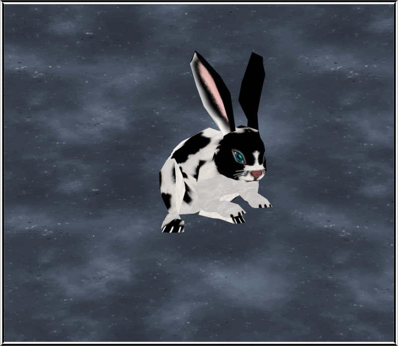 Bunny Black and white (Spot) photo bunnyblackampwhitepb.gif