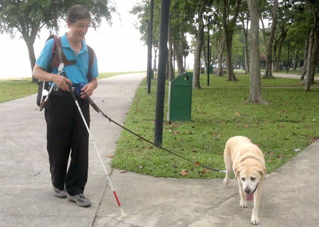 dog1.jpg
