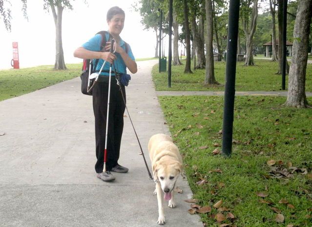 dog2.jpg