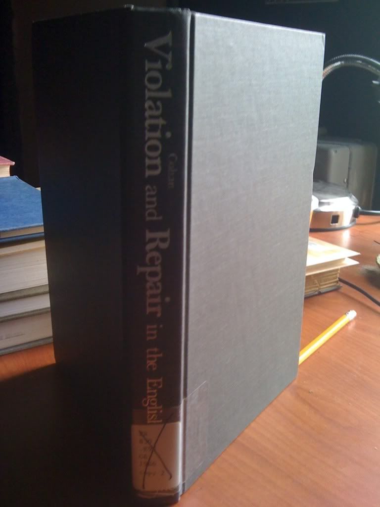 Image for Violation and Repair in the English Novel: The Paradigm of Experience from Richardson to Woolf