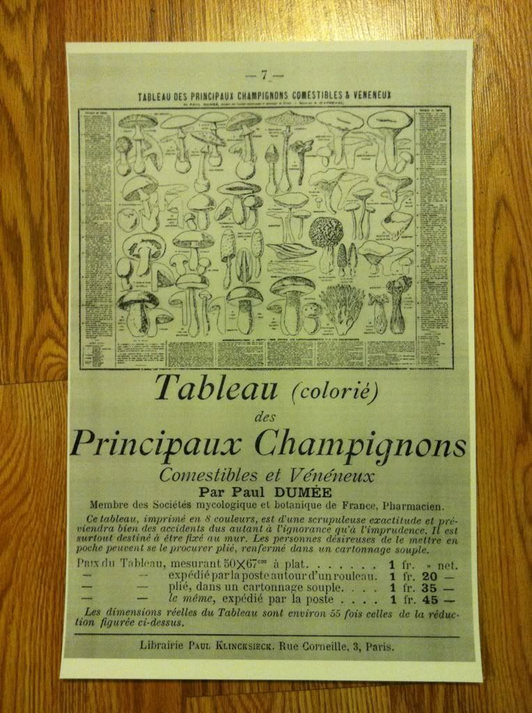 Vintage French 'Main Fungal' Mushroom Poster Edible and Poisonous, n/a Vintage French 'Main Fungal' Mushroom Poster Edible and Poisonous, n/a