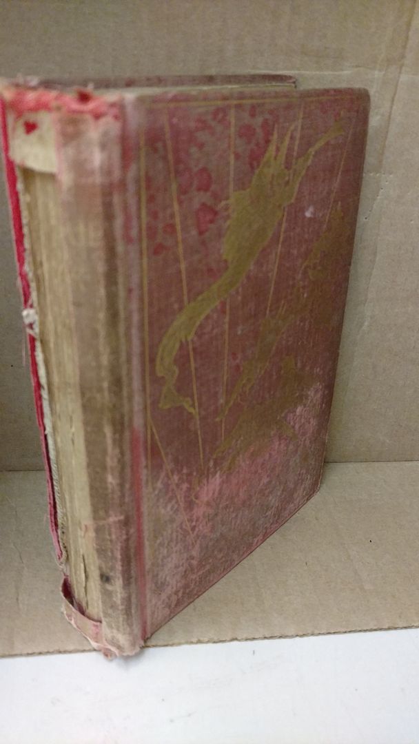 Image for The Pink Fairy Book by Andrew Lang