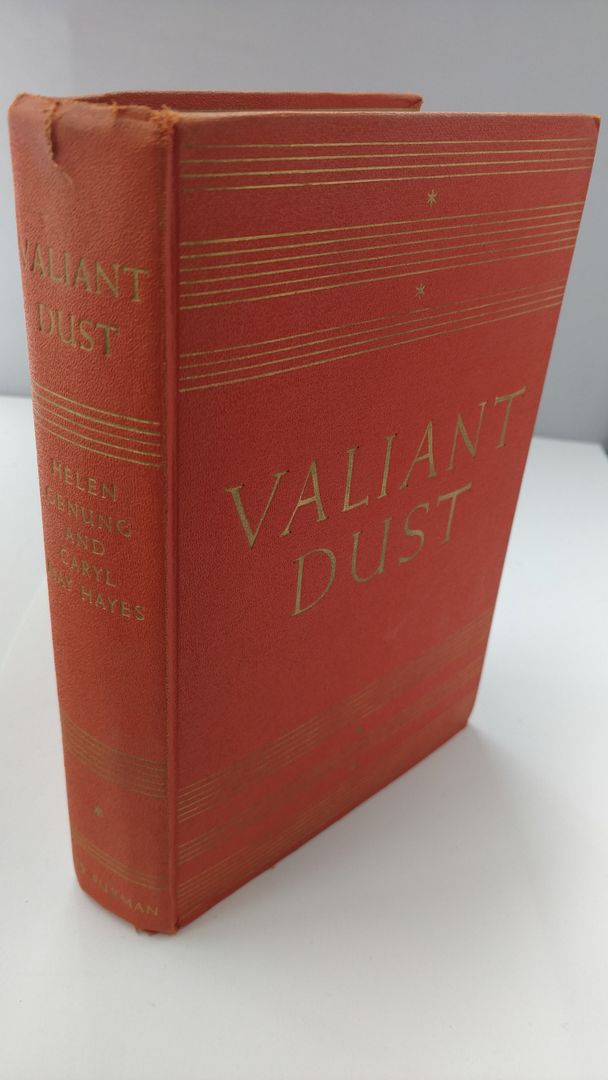 Image for Valiant Dust