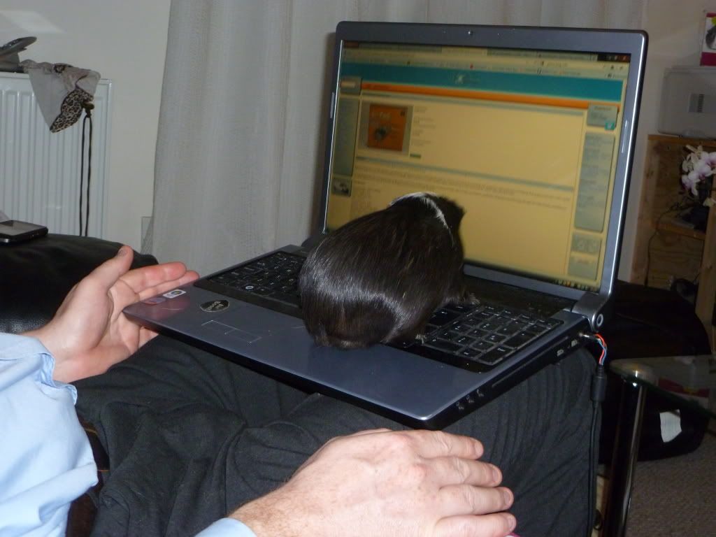 P1000319.jpg
