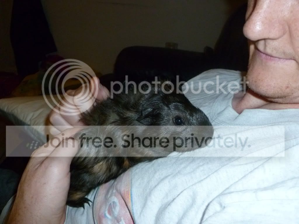 Spikecuddles.jpg