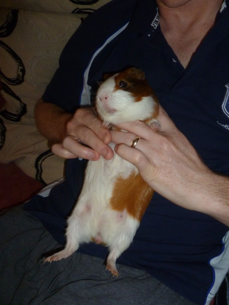 belly.jpg