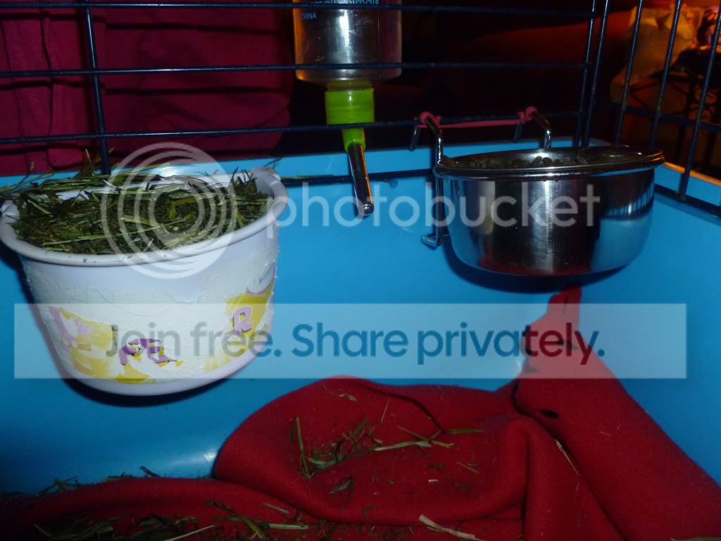 dishes.jpg