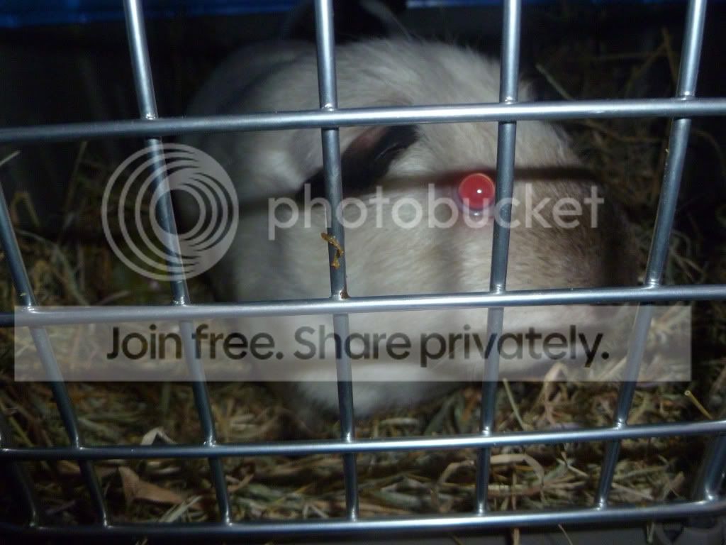 jasbehindbars.jpg