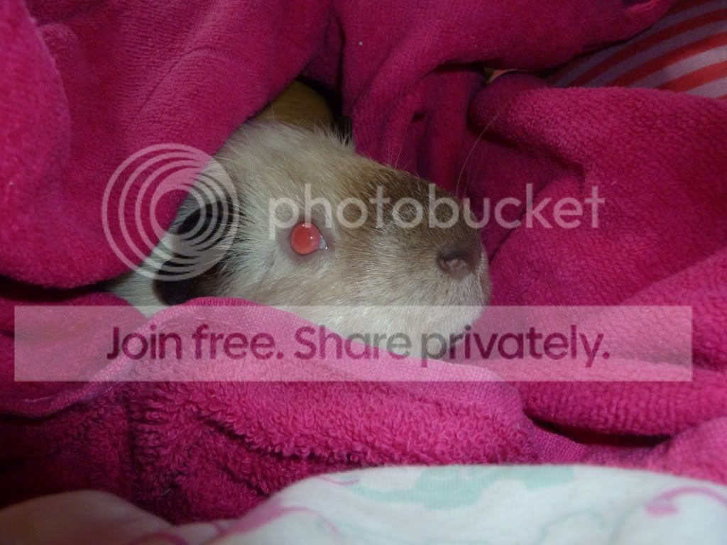 jassnuggling.jpg