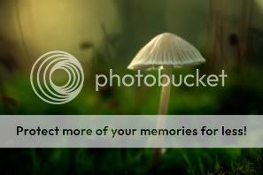 http://i1210.photobucket.com/albums/cc413/Astrit1990/mushroom_3_1.jpg