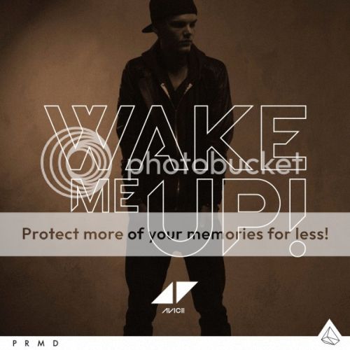 Avicii- Wake Me Up (EDX Edit)