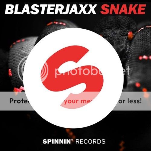Blasterjaxx-Snake
