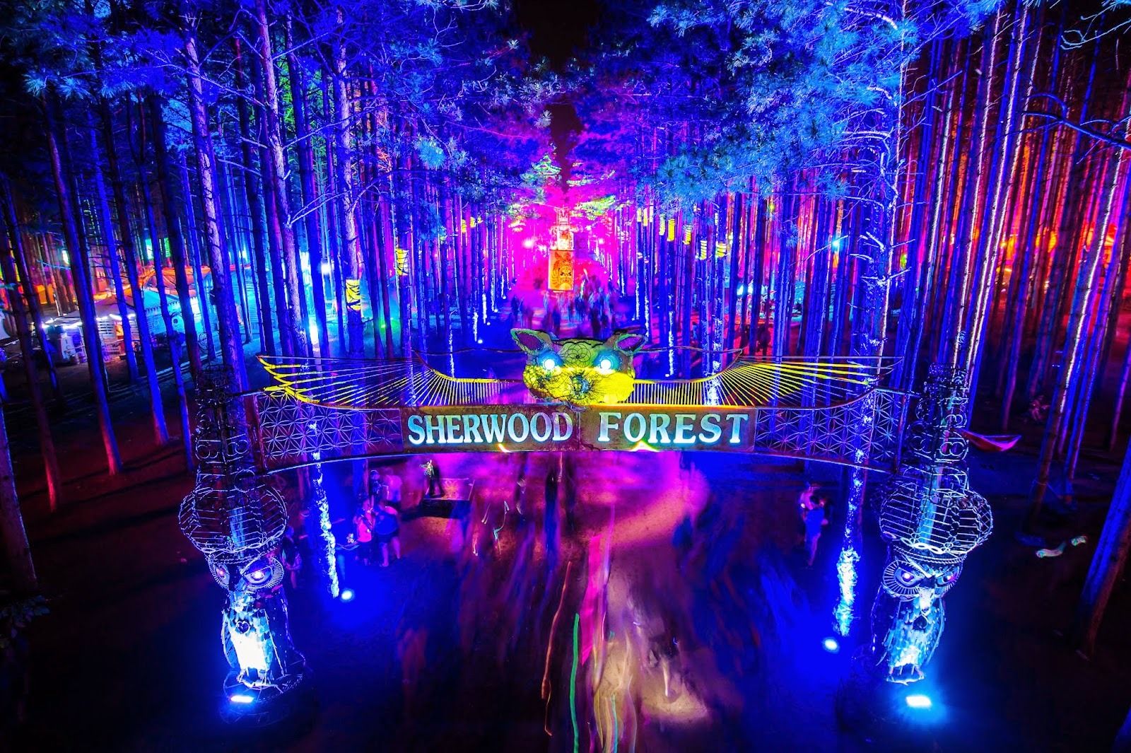 Electric Forest