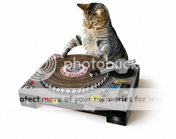 Cat DJ Scratch Deck
