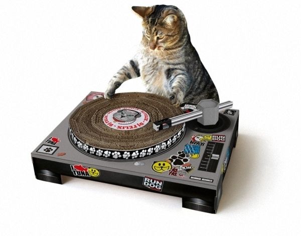 Cat DJ Scratch Deck