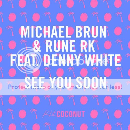 Michael Brun & Rune RK Deliver Gorgeous New Single 'See You Soon' 