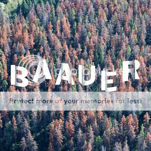 baauer clang