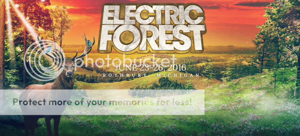 electric forest