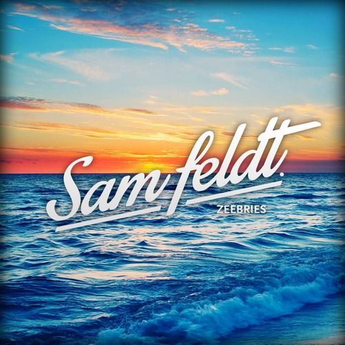 Sam Feldt Unveils Summer Wrap-Up Mix 'Zeebries'