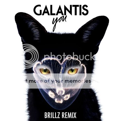 galantis you brillz remix