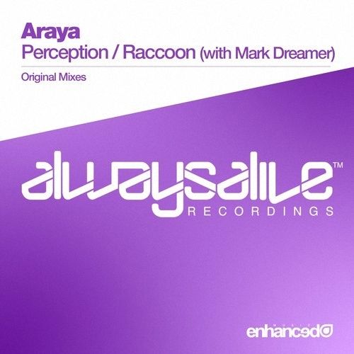 araya_perception