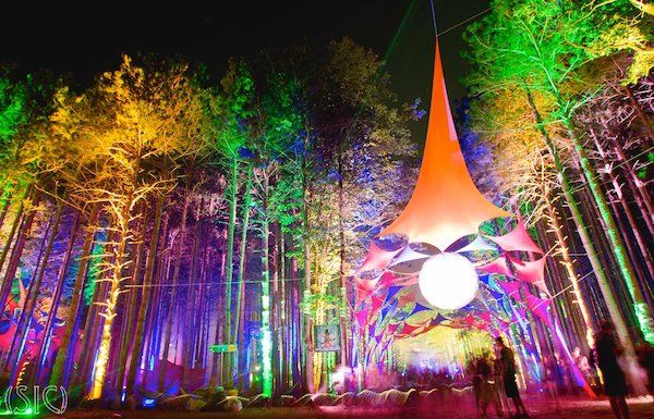 Electric Forest