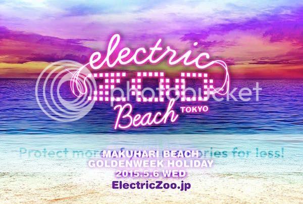 Electric Zoo Beach