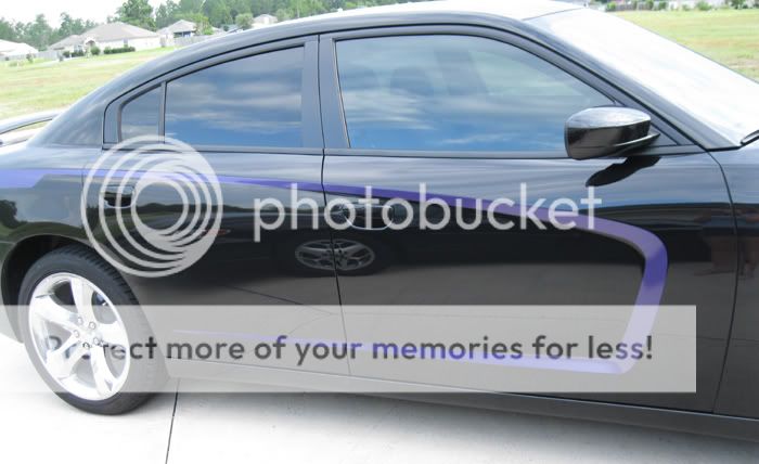 2011 Dodge Charger C Stripe decal Accent Stripes 3M  